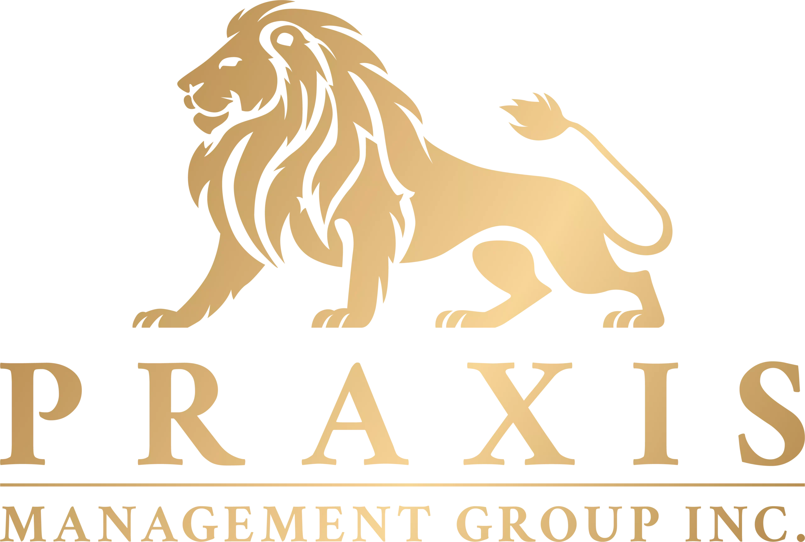 Praxis Management Group Inc Logo